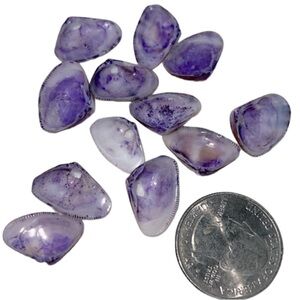 PURPLE SHELL JEWELRY 12 TWELVE PIECES VINTAGE FOR BRACELET OR NECKLACE, ETC